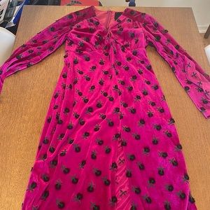 Anna Sui Velvet Dress